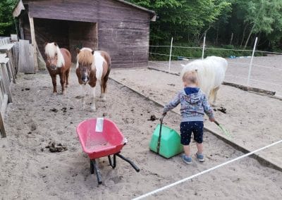 Hof Klinkenberg - Zwergenreiten