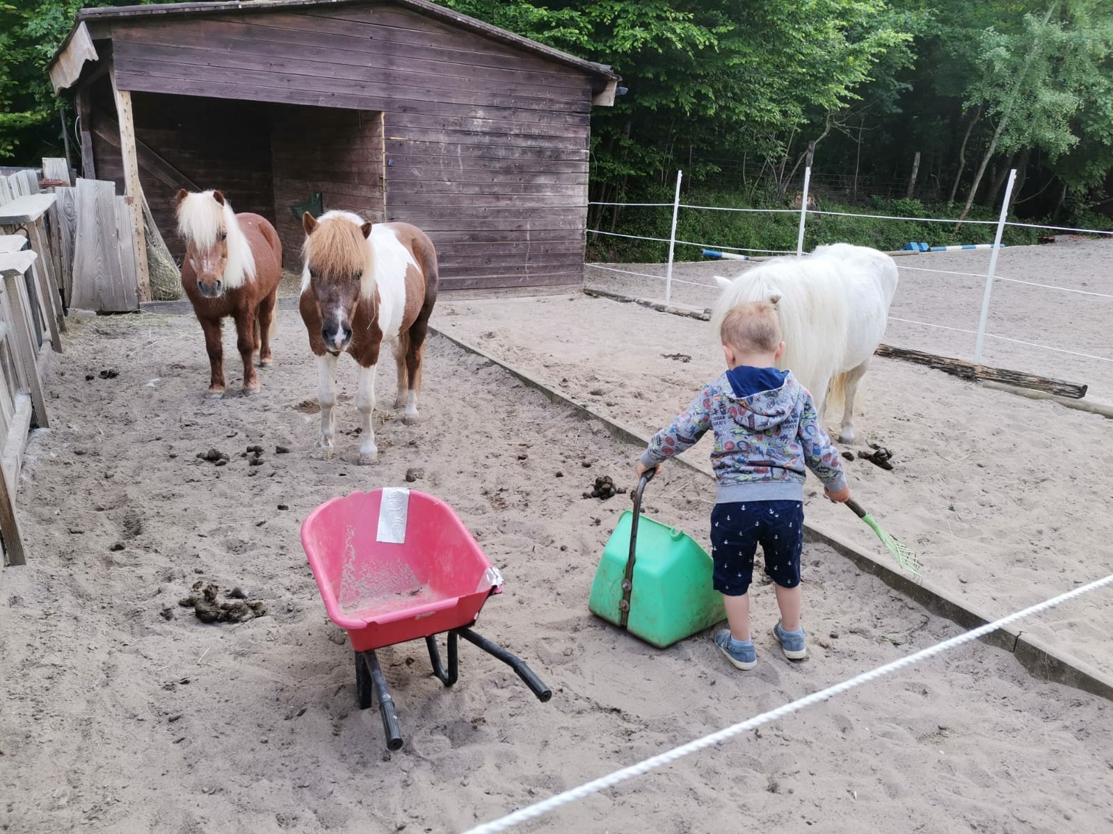 Hof Klinkenberg - Minireiten