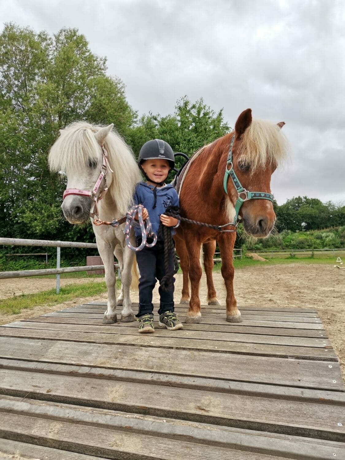 Unsere Ponys - Hof Klinkenberg