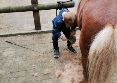 Hof Klinkenberg - Zwergenreiten